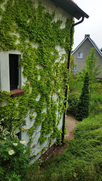 Haus Seefeld Uckeritz Exterior photo